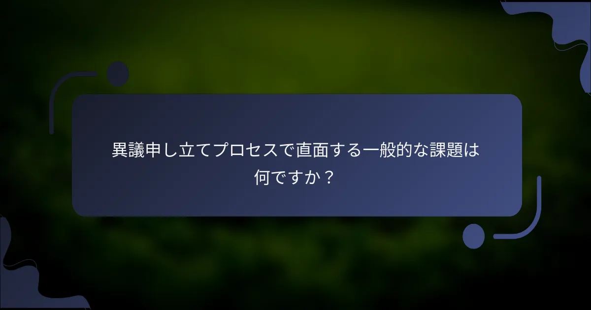 異議申し立てプロセスで直面する一般的な課題は何ですか?